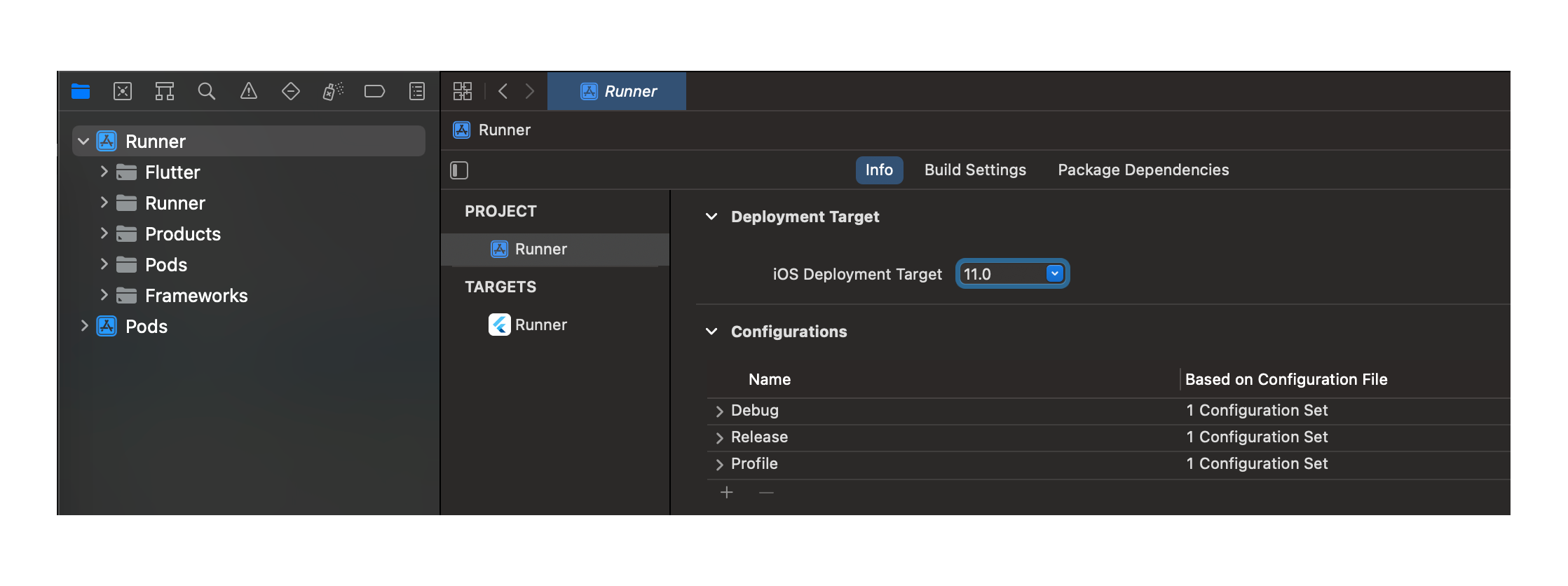 Xcode Project